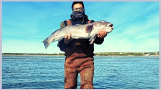 Pesca de Salmon en Golfo San Jose  Chubut  Patagonia Argentina [upl. by Deckert266]