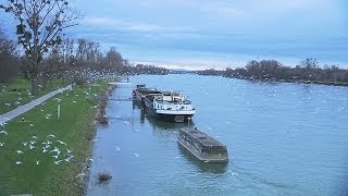 Eco  Erfolg in BadenWürttemberg Niedergang im Elsass [upl. by Vashtia878]