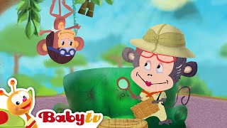 Elefante 🐘  Animales para niños  Animales Salvajes  Episodio completo  BabyTVSP [upl. by Thayne]