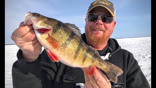 Ice Fishing Perch – EVERYTHING You Need To Know [upl. by Frederico31]