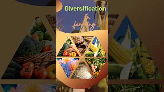 Diversification in farming minimize your losses in farming diversification farming shorts [upl. by Rusty]