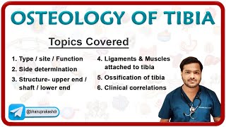 Osteology of TIBIA Bone  Osteology MBBS 1st year 🦴🦴🦴 [upl. by Ronnholm886]