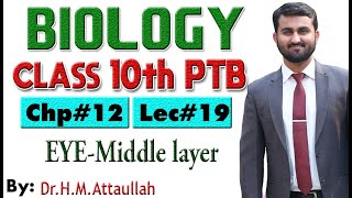 Eye middle layer  Chapter  12  Biology Class 10th  Lec 19 [upl. by Huldah]