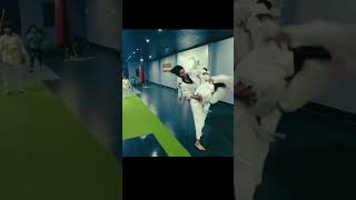 quot6 SECONDS OF FURY MartialArts stuntshorts FitnessInspiration Shorts [upl. by Emirej]