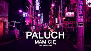 Paluch  Mam Cię Blend [upl. by Elazaro]