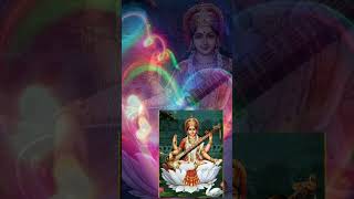 ya kundendu tushar har dhawla🙏🏻🌹mata Saraswati namo namah🌹🙏🏻jai maa Saraswati🌹🙏🏻 dharmik videos [upl. by Petersen84]