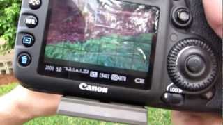 Canon EF 28135mm f3556 IS Test Footage and Review [upl. by Acilegna]