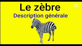 le zèbre  Description générale [upl. by Grindlay]