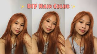 AFFORDABLE DIY HAIR COLOR USING BREMOD NO BLEACH Princess Dimp [upl. by Ellicul]