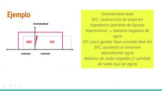 Ayudantía Integrativa ÁcidoBase e Hidroelectrolítico [upl. by Lecram24]