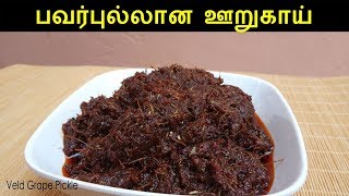 பிரண்டை ஊறுகாய்  Pirandai Urugai  Pickle Recipes in Tamil  Veld Grape Pickle [upl. by Norrej916]