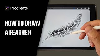 How to draw a feather tattoo design with Procreate [upl. by Neelak]