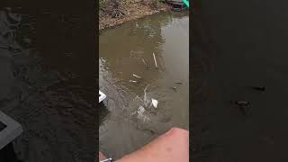 More Crappie Fishing Shallow Structure [upl. by Nylatsyrk]