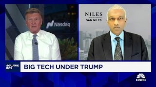 Dan Niles An equalweighted basket of stocks makes the most sense under a second Trump term [upl. by Aikmat]