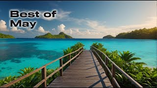 Tropical House 🎵 Best of May  Positive Energy to Relax Study Work  Enjoy [upl. by Franklyn627]