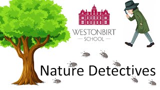 Woodlice Classification  Nature Detectives [upl. by Boothman]