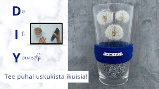 DIY – kestävät puhalluskukat  kukkaaskartelu voikukista  askartele luonnonmateriaaleista [upl. by Atoel]