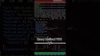 Query Mullvad VPN Api Using Curl On Linux [upl. by Bultman487]