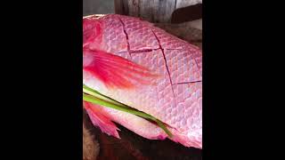 Best Boiled Red Fish Recipe 20 fishing twolessfishinthesea rawfood [upl. by Samoht]