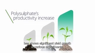 Introducing Polysulphate [upl. by Ettevey]