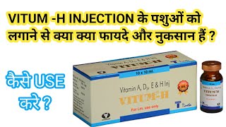 VITUM H INJECTION के पशुओं को लगाने से क्या क्या फायदे और नुकसान हैं [upl. by Eriha993]