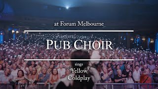 Pub Choir sings Yellow Coldplay [upl. by Chassin]