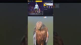 Legend 👀👑 freefire sgislive08 garenafreefire shortvideos ytshorts viralvideos [upl. by Rheims]