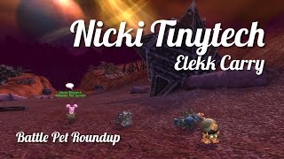 Nicki Tinytech [upl. by Navi361]