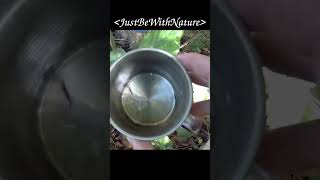 How to Make a Water Filter 💧🛠️ 42 [upl. by Friday]