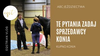 Te pytania zadaj sprzedawcy konia  KUPNO KONIA [upl. by Katerine]