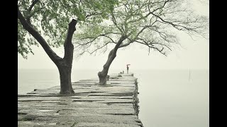 Como RELAXAR Eliminar a INSÔNIA Com sons naturais e músicas apropriadas [upl. by Aipmylo]