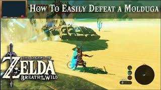 How To Easily Defeat a Molduga  The Legend of Zelda BOTW Tutorial [upl. by Loss448]