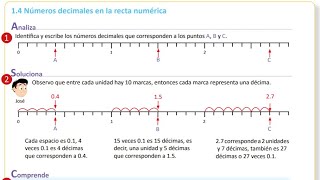 14 Números decimales en la recta numérica [upl. by Ecnaiva499]