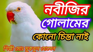 নবীজির গোলামের কোনো চিন্তা নাই চলো নবীজির জান্নাতে মদীনাতে যায় বাংলা গজল Mh sunni media gojol [upl. by Anail]