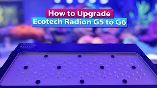 How to Upgrade Ecotech Radion G5 to G6 XR15 or XR30 Pro and Blue [upl. by Pavlov]