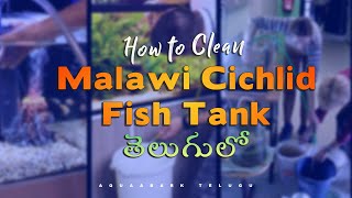 Cichlid Fish Tank CleaningMaintenance in Telugu  TELUGU  CICHLIDFISH [upl. by Sedda]