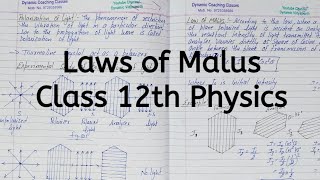 Law of Malus Chapter 10 Wave Optics Class 12 Physics [upl. by Elwaine]