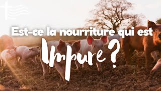 Parole et Évangile du jour  Mercredi 7 février • Questce qui est impur [upl. by Anurag]