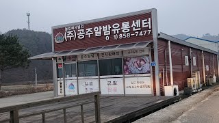 정안알밤휴게소하행 고속버스환승정류소 가는길공주알밤유통센터 네비 찍고 터널근처 주차후 도보이동 [upl. by Ssepmet]