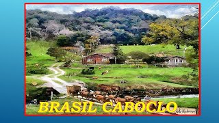 BRASIL CABOCLOTONICO E TINOCOCompTonico e Valter Amaral [upl. by Hein57]