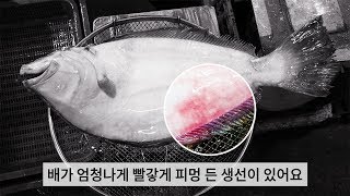 광어우럭 고를 때 이것만큼은 꼭 피하자 How to choose good flatfish and rockfish [upl. by Iaht498]