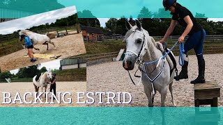 Backing the new horse First sit on Estrid  Vlog 134  Beth Endurance [upl. by Shaylah]