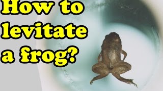 How to Levitate a Frog Curiousminds97 [upl. by Wolk864]