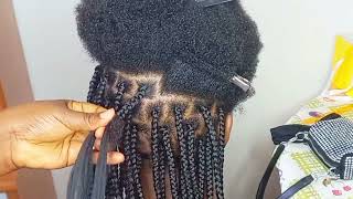 How to do Knotless box braids boxbraids [upl. by Zalucki]