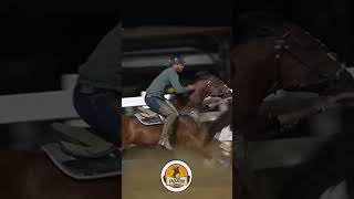 Baixa confirmada vaqueiro ✅🫡🔥 fy vaquejada cavalo cavalosselados cavalos cavalomarchador [upl. by Arimaj574]