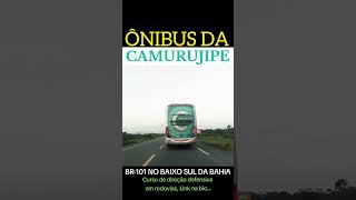 Ônibus da Camurujipe cortando a BR101 na Bahia short shorts [upl. by Esirahc]