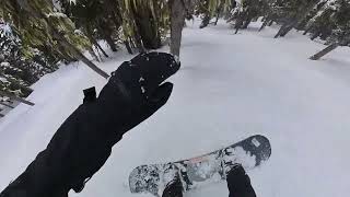 20240327BlackcombSnowboarding Glades Skiers Right of Overbite x Davies Dervish [upl. by Ettenor37]