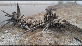 EPIC late season goose hunt in the snow Huge honkers down [upl. by Deste]