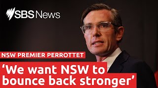 Dominic Perrottet appointed as NSW Premier  SBS News [upl. by Ecnarretal912]