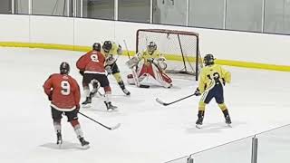 2024 NAHL Combine STL  Prospects  10 plays [upl. by Ilysa]